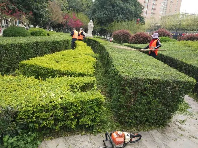 中山社区绿化工程