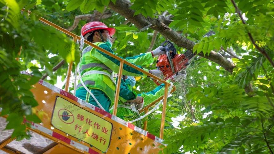 园林管理不善，造成绿化资源浪费现象